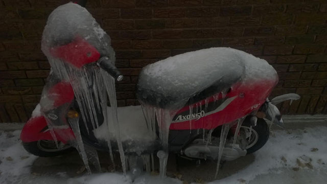 Morning Picdump