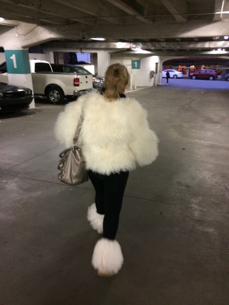 Morning Picdump