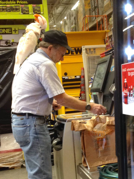 morning picdump 54 pics 19.html - 54 HD Photos | Premium Gallery 2014