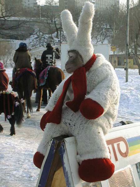 daily picdump 108 pics 4.html - 108 HD Photos | Premium Gallery 2014