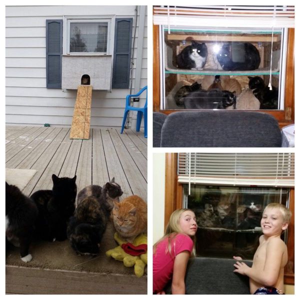 daily picdump 108 pics 4.html - 108 HD Photos | Premium Gallery 2014