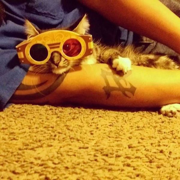 daily picdump 108 pics 4.html - 108 HD Photos | Premium Gallery 2014