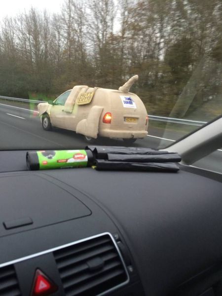 daily picdump 108 pics 4.html - 108 HD Photos | Premium Gallery 2014