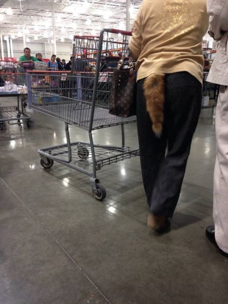 daily picdump 108 pics 4.html - 108 HD Photos | Premium Gallery 2014