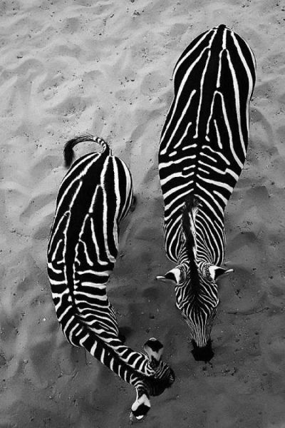 daily picdump 108 pics 4.html - 108 HD Photos | Premium Gallery 2014