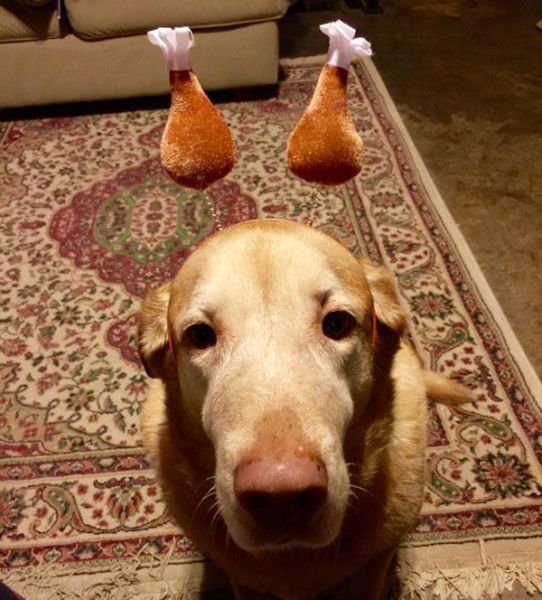 daily picdump 108 pics 4.html - 108 HD Photos | Premium Gallery 2014