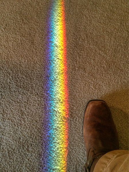 Morning Picdump