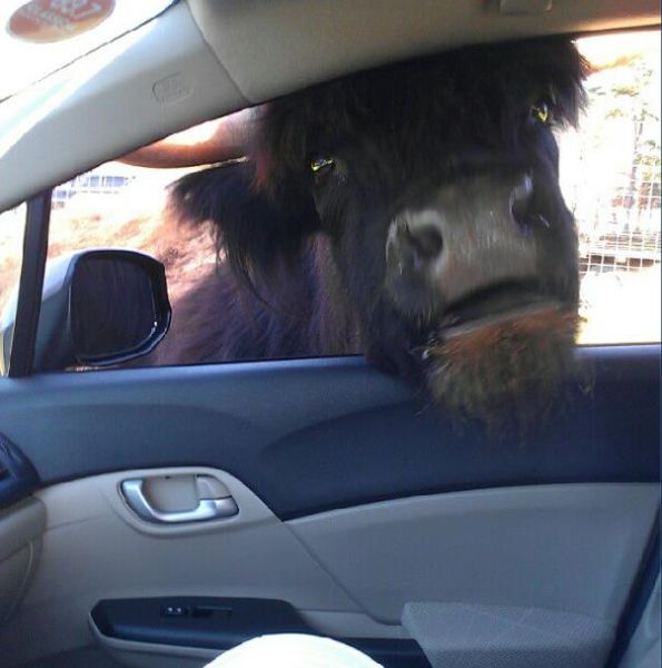 morning picdump 50 pics 15.html - 50 HD Photos | Premium Gallery 2014