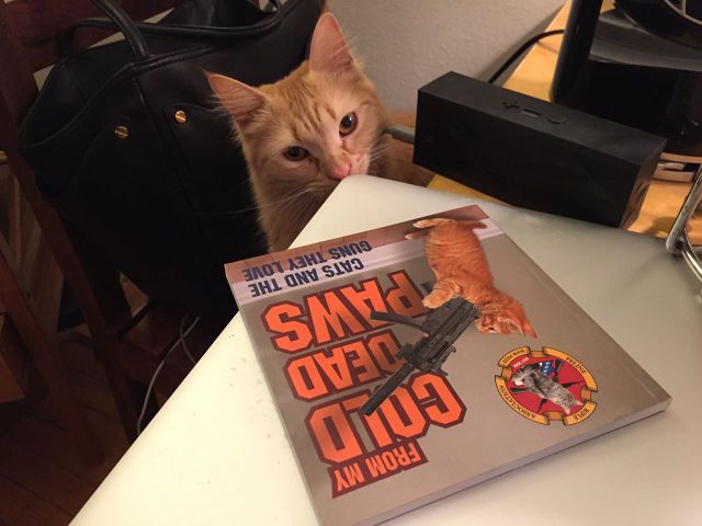 morning picdump 56 pics 12.html - 56 HD Photos | Premium Gallery 2014