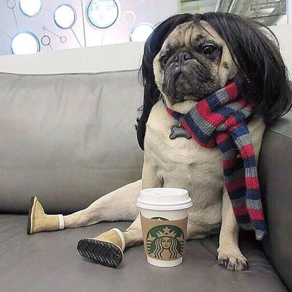 morning picdump 55 pics 25.html - 55 HD Photos | Premium Gallery 2014