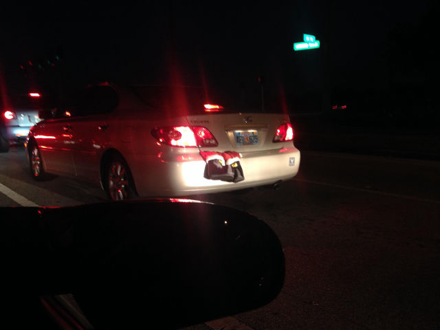 morning picdump 51 pics 19.html - 51 HD Photos | Premium Gallery 2014