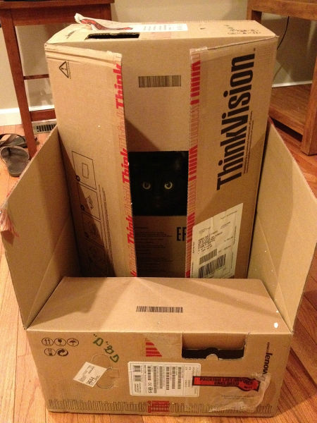 morning picdump 51 pics 19.html - 51 HD Photos | Premium Gallery 2014