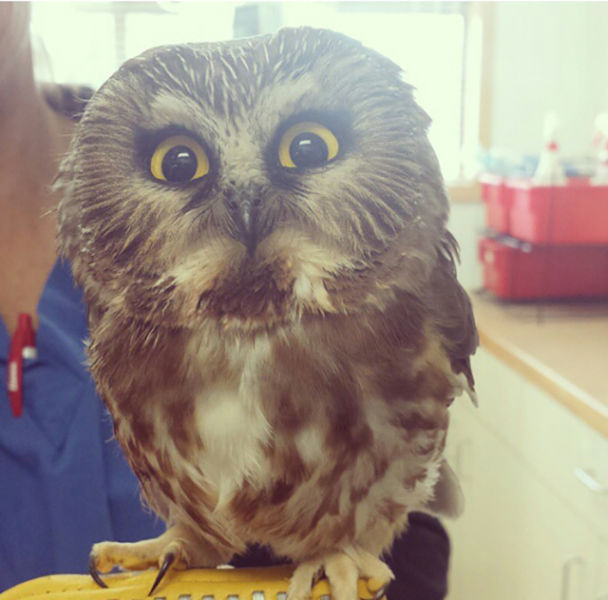 morning picdump 53 pics 20.html - 53 HD Photos | Premium Gallery 2014