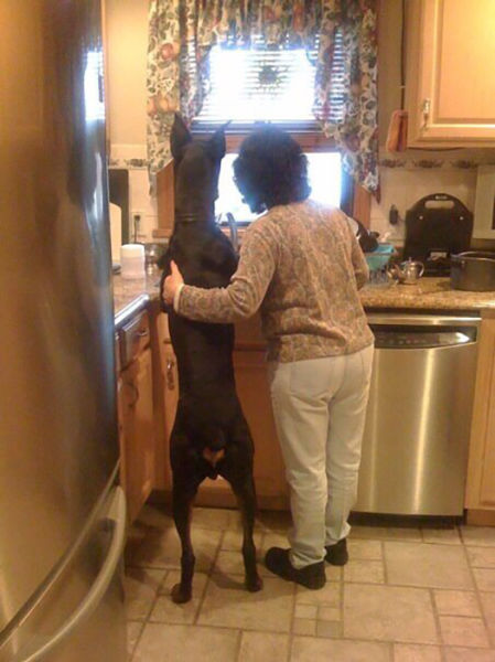 morning picdump 52 pics 15.html - 52 HD Photos | Premium Gallery 2014