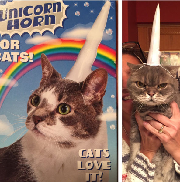 morning picdump 52 pics 15.html - 52 HD Photos | Premium Gallery 2014