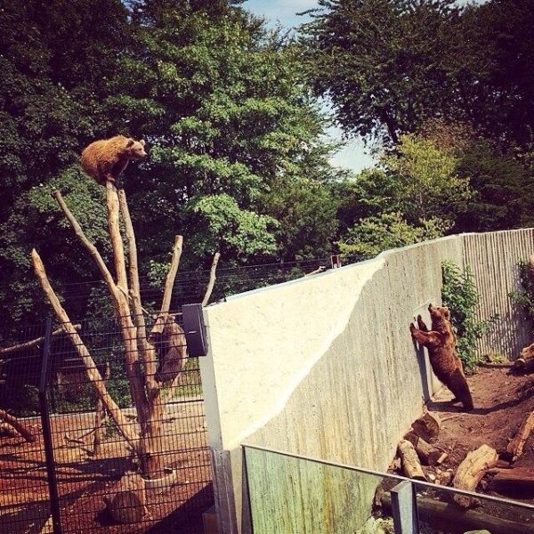 morning picdump 52 pics 15.html - 52 HD Photos | Premium Gallery 2014