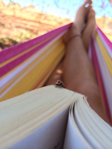 morning picdump 52 pics 15.html - 52 HD Photos | Premium Gallery 2014