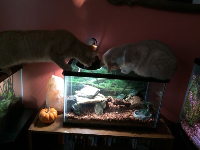 morning picdump 52 pics 15.html - 52 HD Photos | Premium Gallery 2014