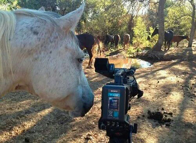 morning picdump 52 pics 15.html - 52 HD Photos | Premium Gallery 2014