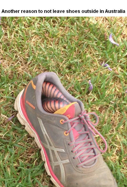 morning picdump 52 pics 15.html - 52 HD Photos | Premium Gallery 2014