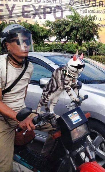 morning picdump 54 pics 17.html - 54 HD Photos | Premium Gallery 2014