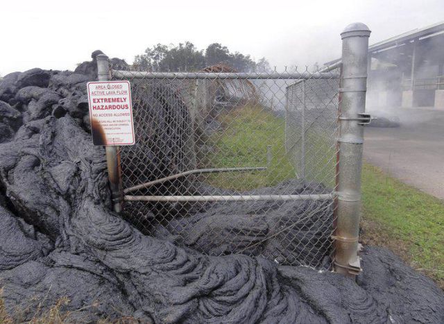 morning picdump 52 pics 21.html - 52 HD Photos | Premium Gallery 2014