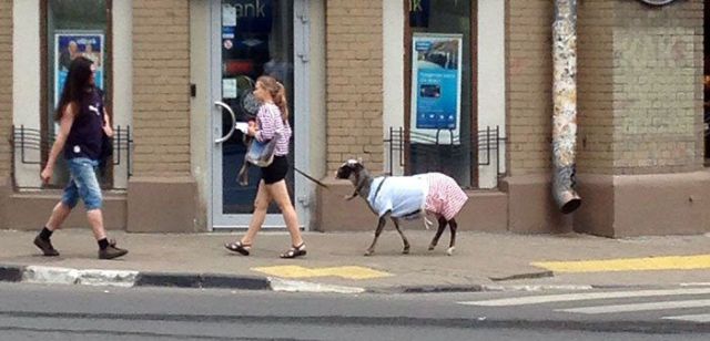 Average Pictures Found on Russian Social Networks