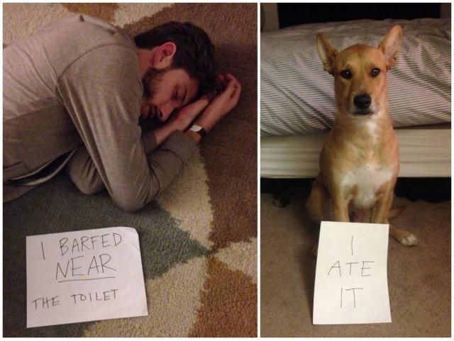 daily picdump 102 pics 45.html - 102 HD Photos | Premium Gallery 2014