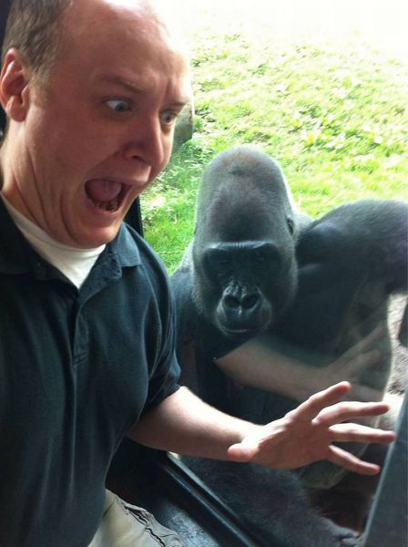 daily picdump 102 pics 45.html - 102 HD Photos | Premium Gallery 2014