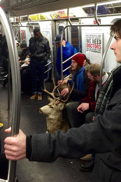 morning picdump 55 pics 20.html - 55 HD Photos | Premium Gallery 2014