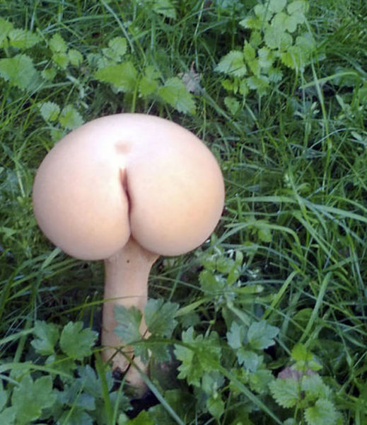 morning picdump 55 pics 20.html - 55 HD Photos | Premium Gallery 2014