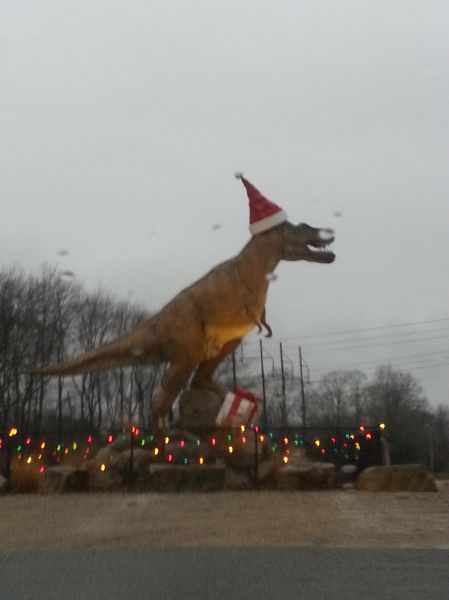 morning picdump 55 pics 20.html - 55 HD Photos | Premium Gallery 2014