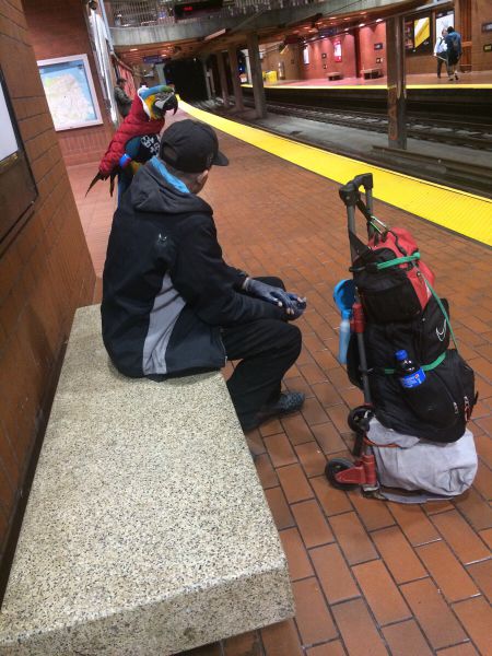 morning picdump 55 pics 7.html - 55 HD Photos | Premium Gallery 2014