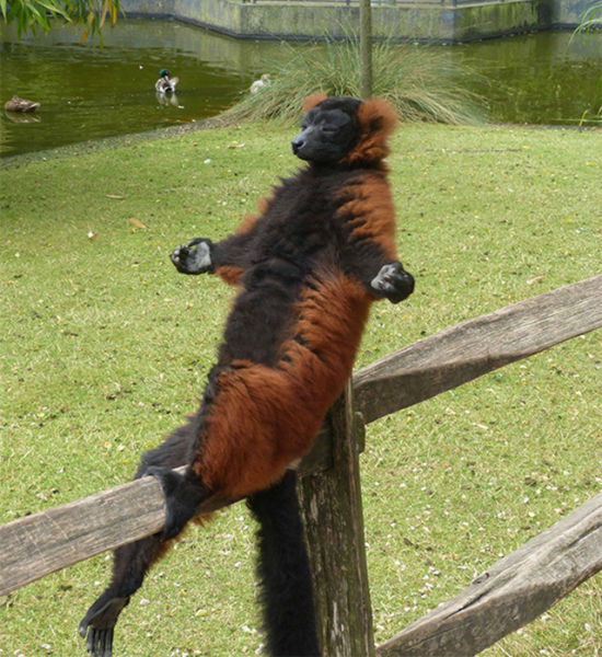 morning picdump 55 pics 14.html - 55 HD Photos | Premium Gallery 2014