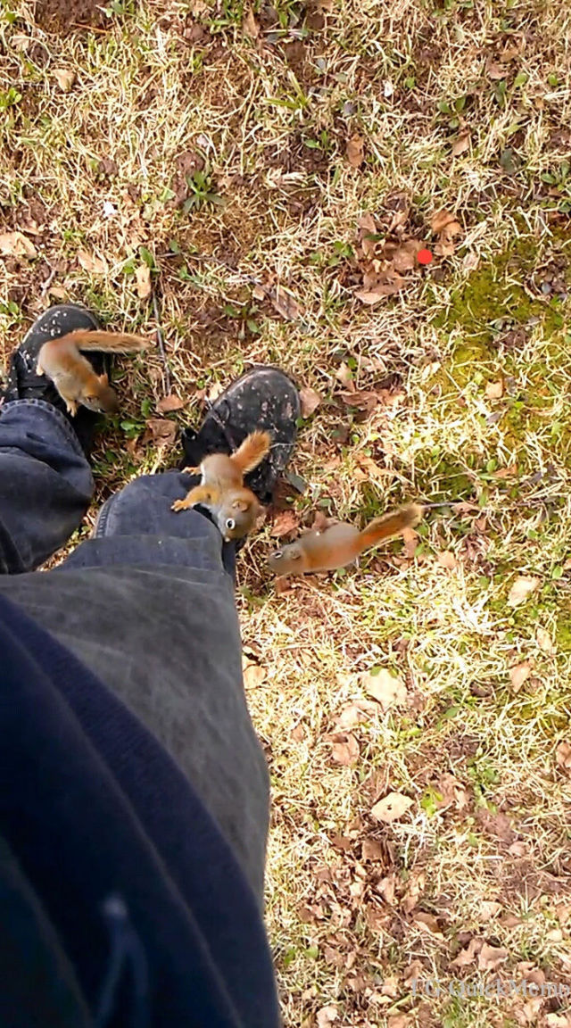 morning picdump 55 pics 14.html - 55 HD Photos | Premium Gallery 2014