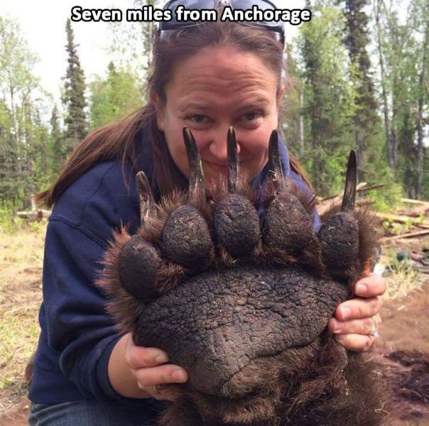 morning picdump 62 pics 50.html - 62 HD Photos | Premium Gallery 2014