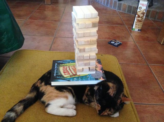 Morning Picdump