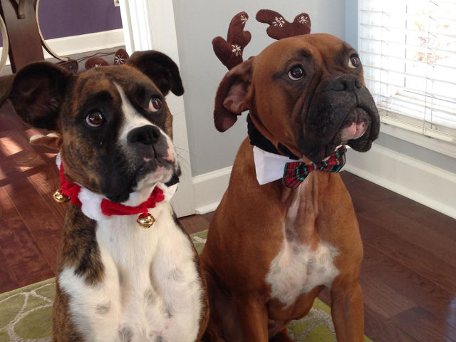 morning picdump 53 pics 5.html - 53 HD Photos | Premium Gallery 2014