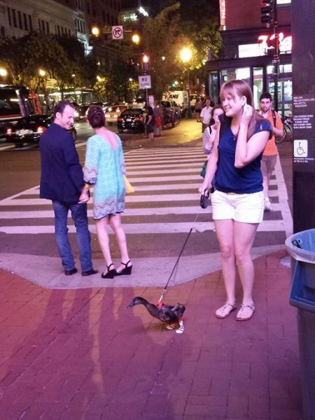 morning picdump 53 pics 5.html - 53 HD Photos | Premium Gallery 2014