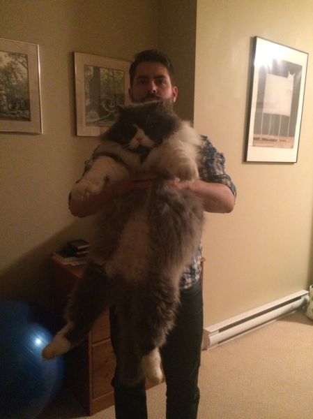 morning picdump 53 pics 5.html - 53 HD Photos | Premium Gallery 2014