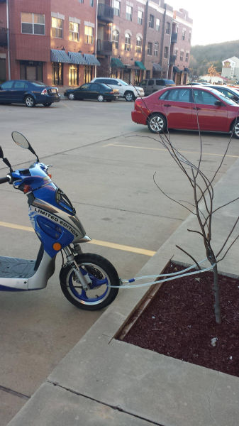 morning picdump 52 pics 34.html - 52 HD Photos | Premium Gallery 2015