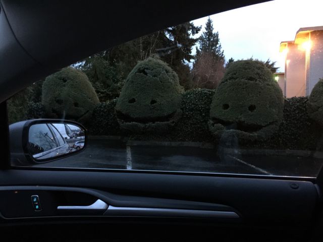 morning picdump 52 pics 34.html - 52 HD Photos | Premium Gallery 2015