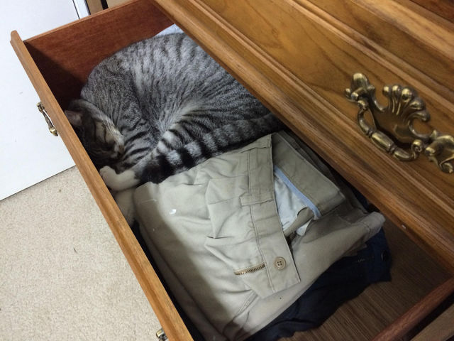 morning picdump 52 pics 34.html - 52 HD Photos | Premium Gallery 2015