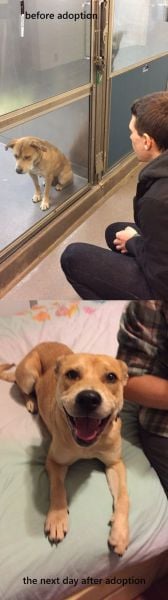 page,9,top 1500 daily pics of the year 2015.html - 1 HD Photos | Premium Gallery 2015