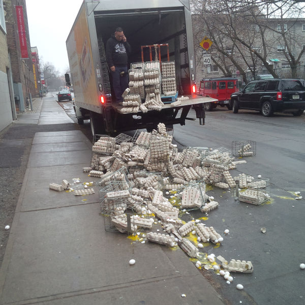 Morning Picdump