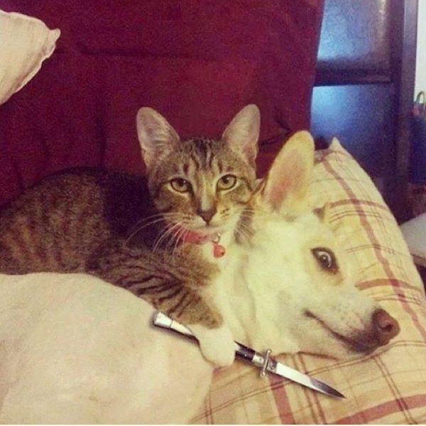Morning Picdump