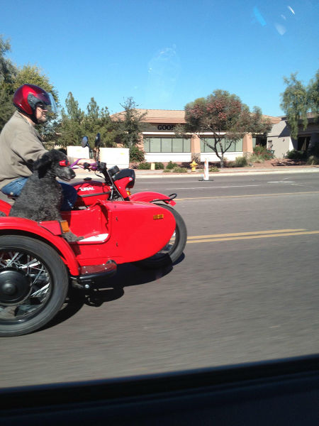 morning picdump 51 pics 23.html - 51 HD Photos | Premium Gallery 2015