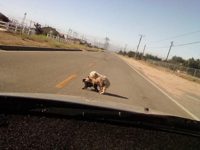 daily picdump 92 pics 78.html - 92 HD Photos | Premium Gallery 2015