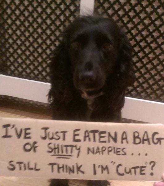 daily picdump 92 pics 78.html - 92 HD Photos | Premium Gallery 2015