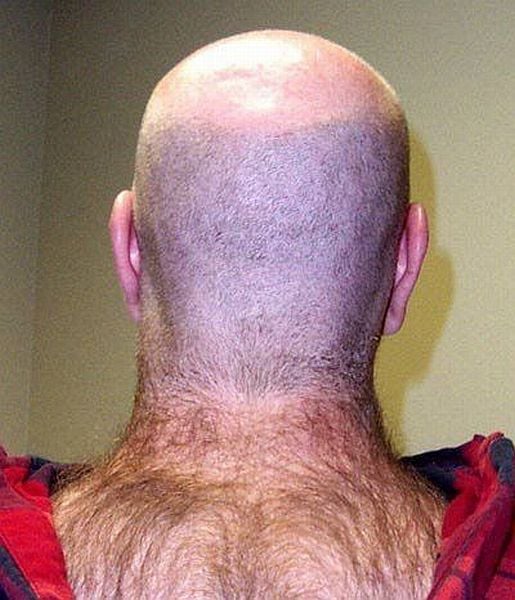 daily picdump 92 pics 78.html - 92 HD Photos | Premium Gallery 2015